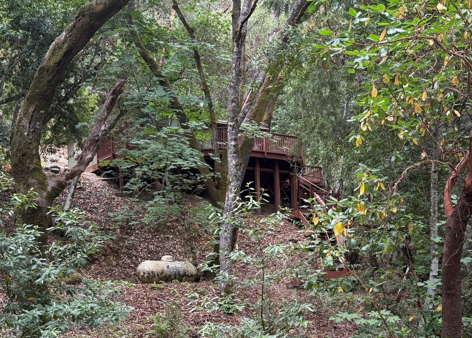 Cabin 52 Front